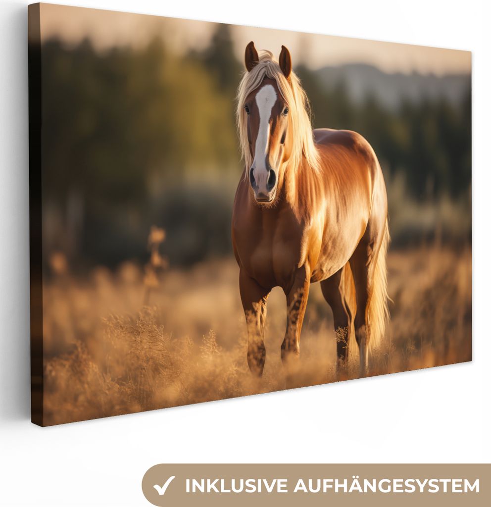 MuchoWow - Leinwandbilder - Pferd - Braun - Natur - Weide - Tier, Wandbild, Wanddeko Bilder Wohnzimmer, 60x40 cm