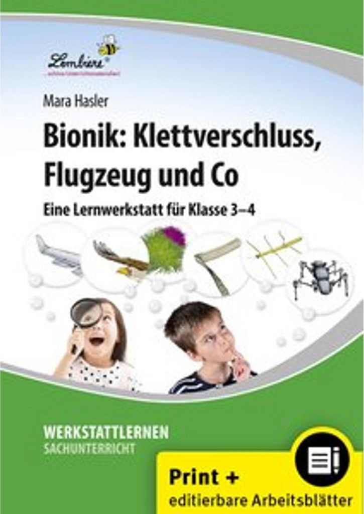 Bionik: Klettverschluss, Flugzeug und Co