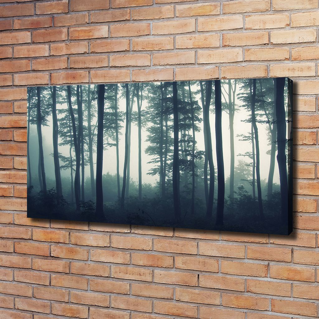 Tulup Leinwandbild - 120x60 cm - Wandkunst - Drucke auf Leinwand - Leinwanddruck - Landschaften - Schwarz - Wald im Nebel