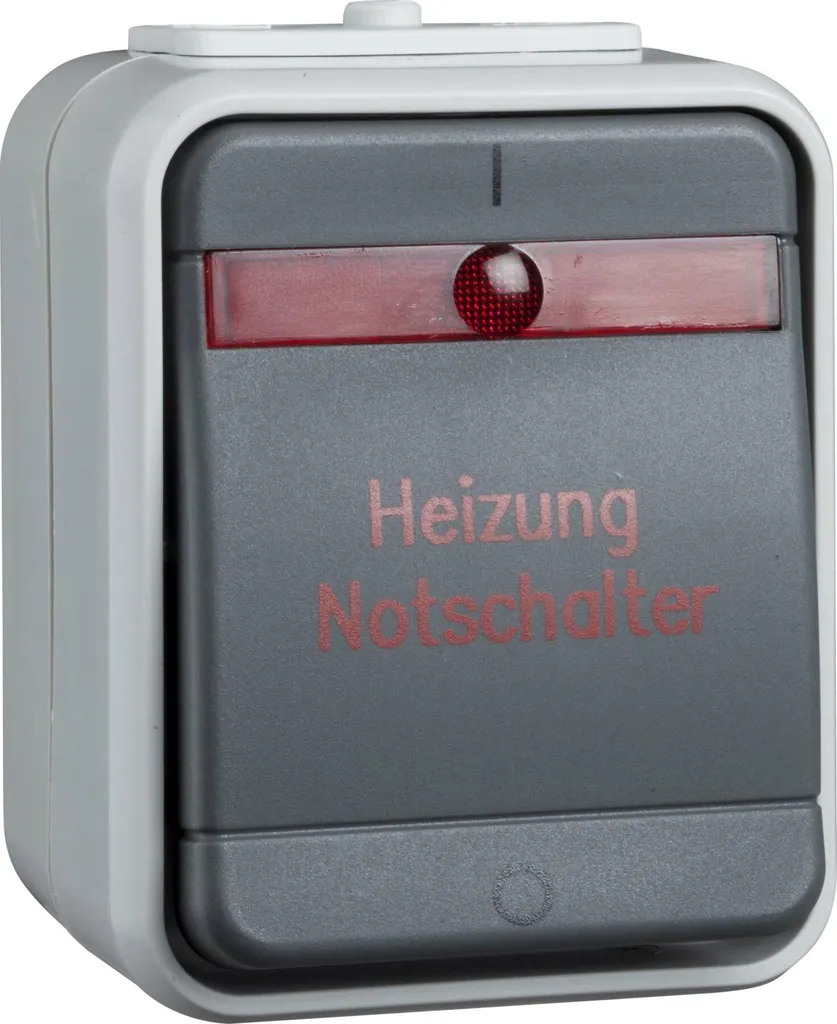 Interrupteur d'urgence 441229 bipolaire gris pour pose en saillie 44