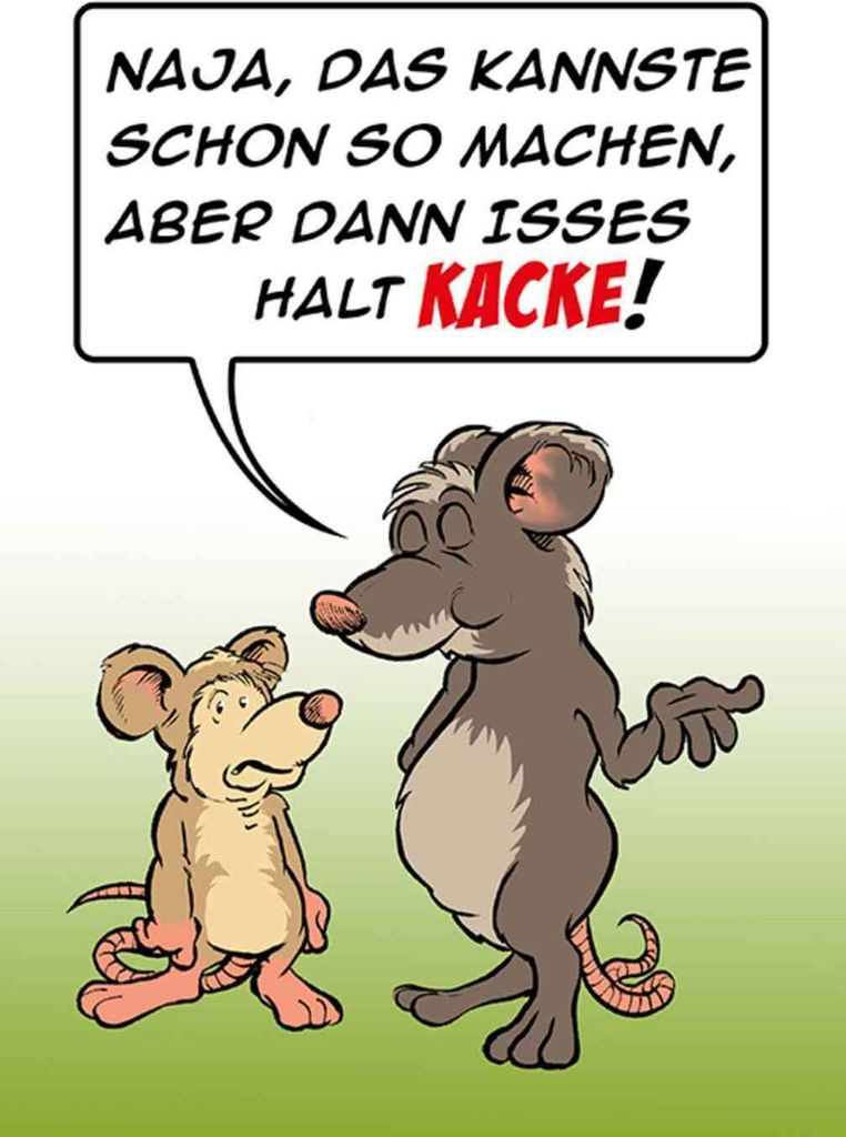 vianmo Holzschild 18x12 cm Kannste so machen ist halt Kacke Spruch Zitat