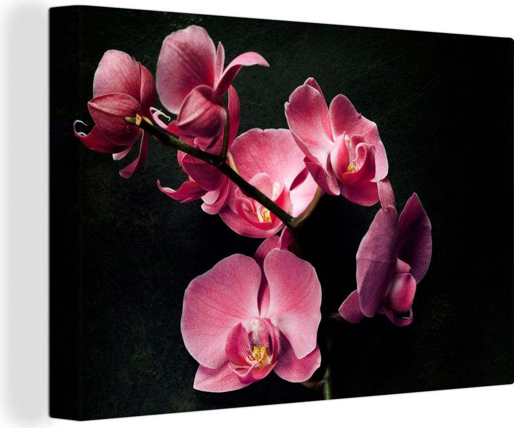 OneMillionCanvasses - Leinwandbilder - 150x100 cm, Pflanzen - Orchidee - Blumen - Rosa, Wandbilder Kunstdruck Wanddekoration - Foto auf Leinwand ...