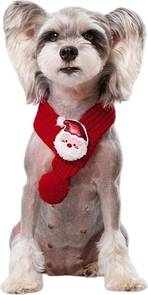 INF Roter Strick Haustierschal - Niedliches & Modisches Accessoire für Hunde Katzen L