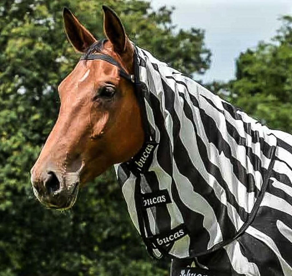 Bucas Buzz-Off Rain Combi Neck - zebra - Halsteil