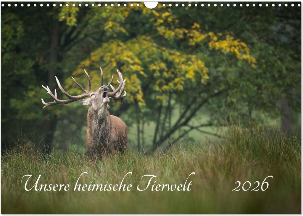 Unsere heimische Tierwelt (Wandkalender 2026 DIN A3 quer), CALVENDO Monatskalender