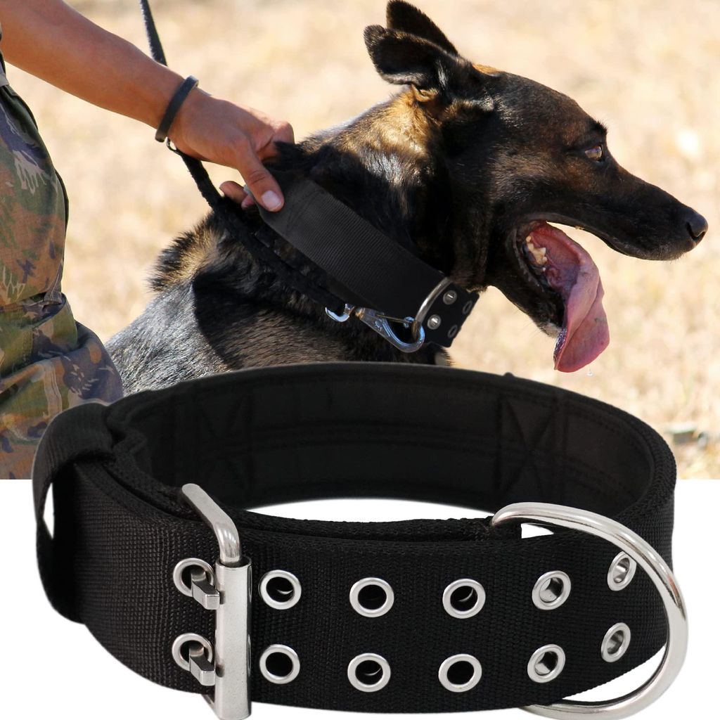 Großes Hundehalsband – 5 cm breites Halsband mit Griff für sehr große Hunderassen, robust und mit Neopren-Nylon gepolstert, für große Hunde,...