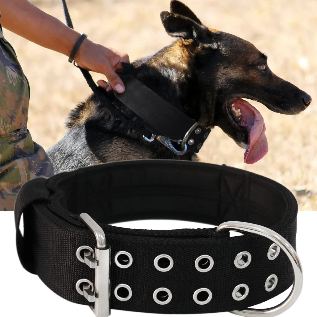 Collier pour grand chien 5cm de large avec poignée robuste noir taille L
