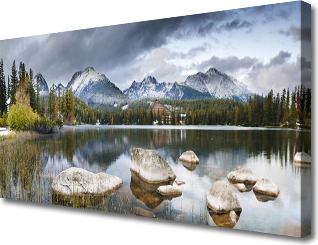 Tulup Leinwand-Bilder 100x50 Wandbild Canvas Kunstdruck Gebirge Wald See Landschaft