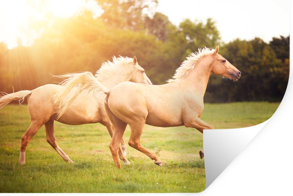 MuchoWow - Selbstklebend - Fototapeten