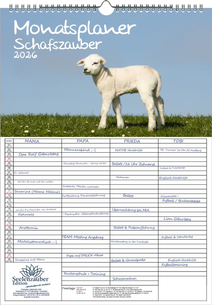 Schafszauber Planer Familienplaner 4 Spaltenplaner DIN A3 Kalender für 2026 Schafe und Lämmchen - Seelenzauber
