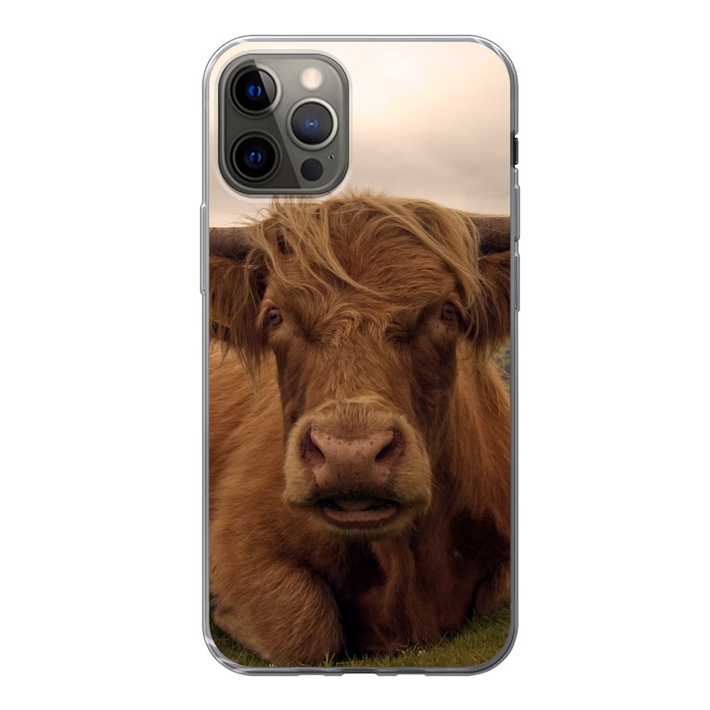 MuchoWow Handyhülle Schutzhülle Hülle für iPhone 12 Pro Schottischer Highlander - Tiere - Berg Silikon Softcase Handy Hülle - Abdeckung