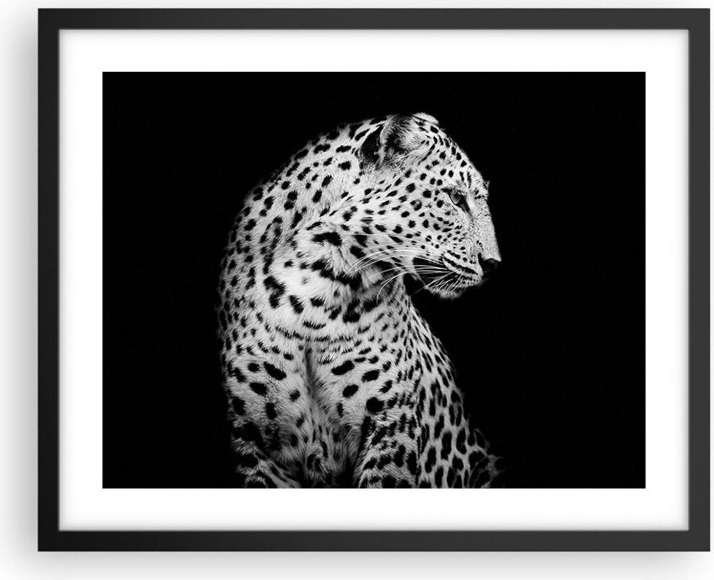 Gerahmtes Poster - Schwarzer Rahmen - Leopard Panther Katze - 50x40 cm - Wand Bild - Wanddeko - Wandbilder - Kunstposter - Wandposter - Bilderrahme...