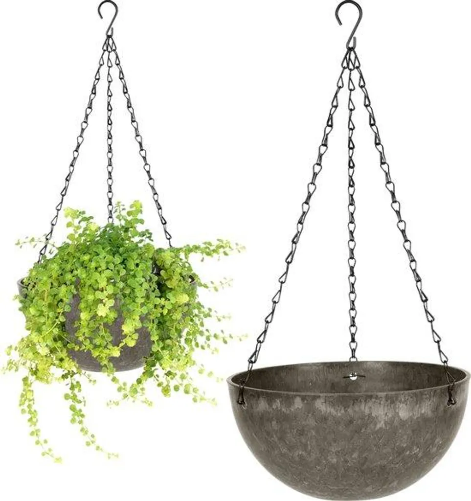 Pot suspendu anti-encombrement pour cactus et plantes café clair