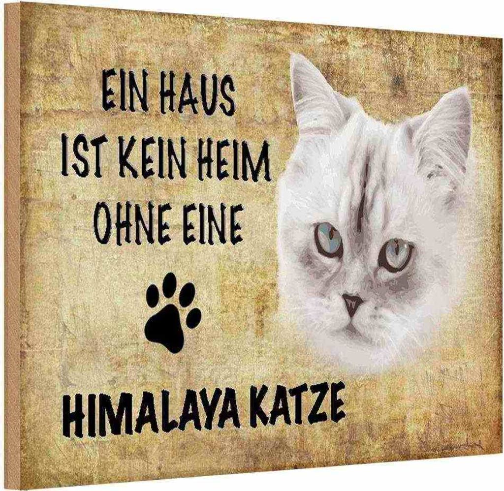 vianmo Holzschild 12x18 cm Himalaya Katze ohne kein Heim Tier Haustier