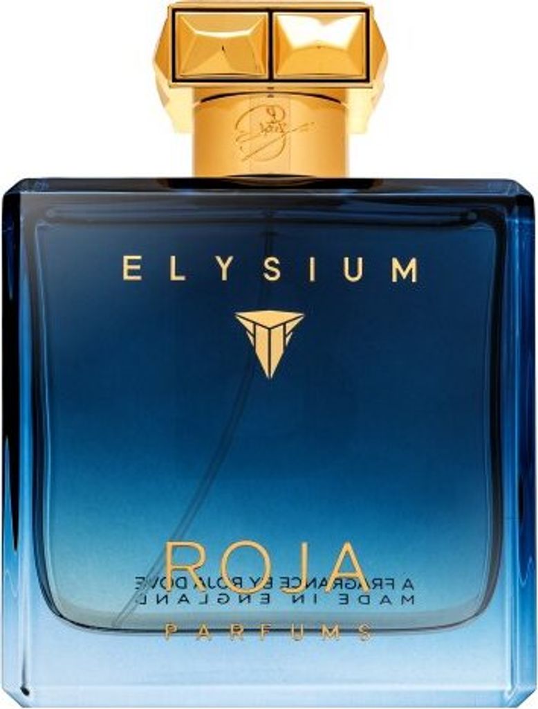 Roja Parfums Elysium Pour Homme Eau de Parfum für Herren 100 ml