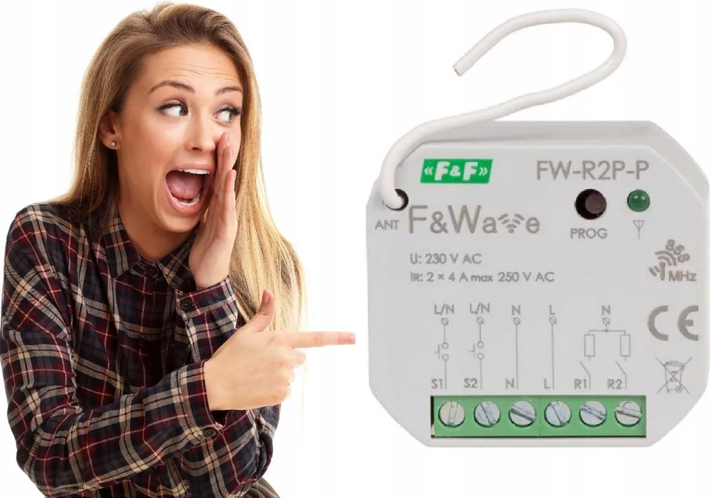 Relais 2 canaux F&Wave FW-R2P-P multifonctionnel à commande déportée