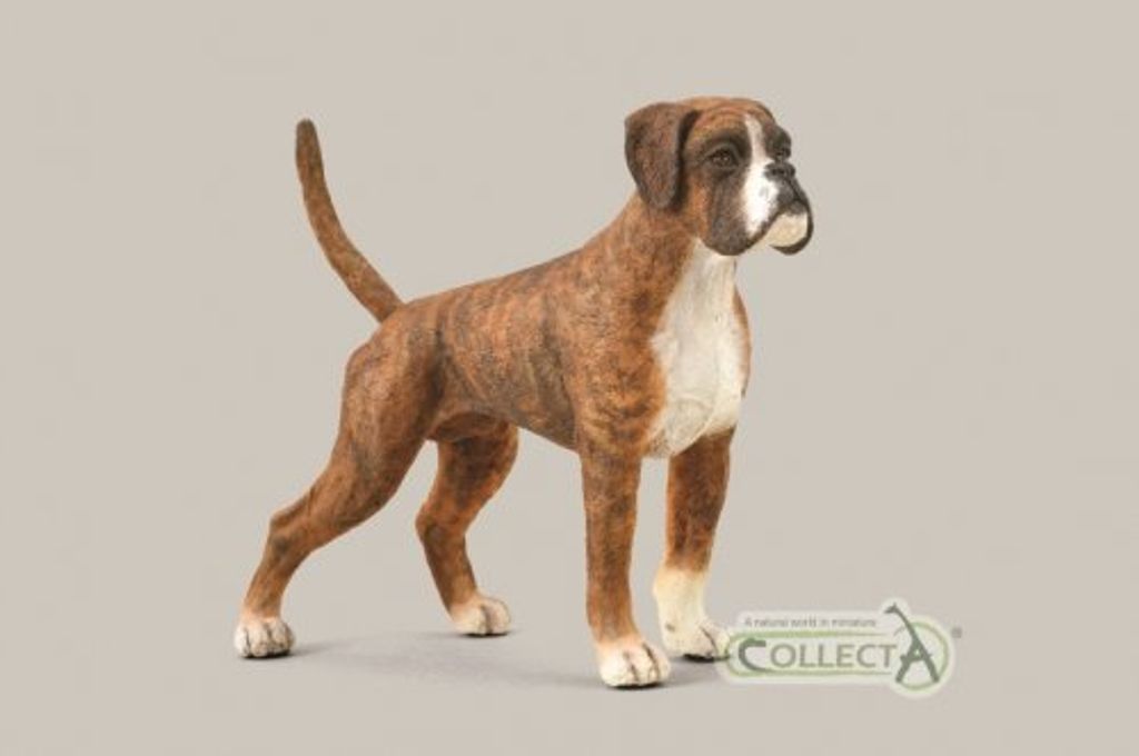 Collecta 88936 Boxer 8 cm Hunde und Katzen Produktbild 