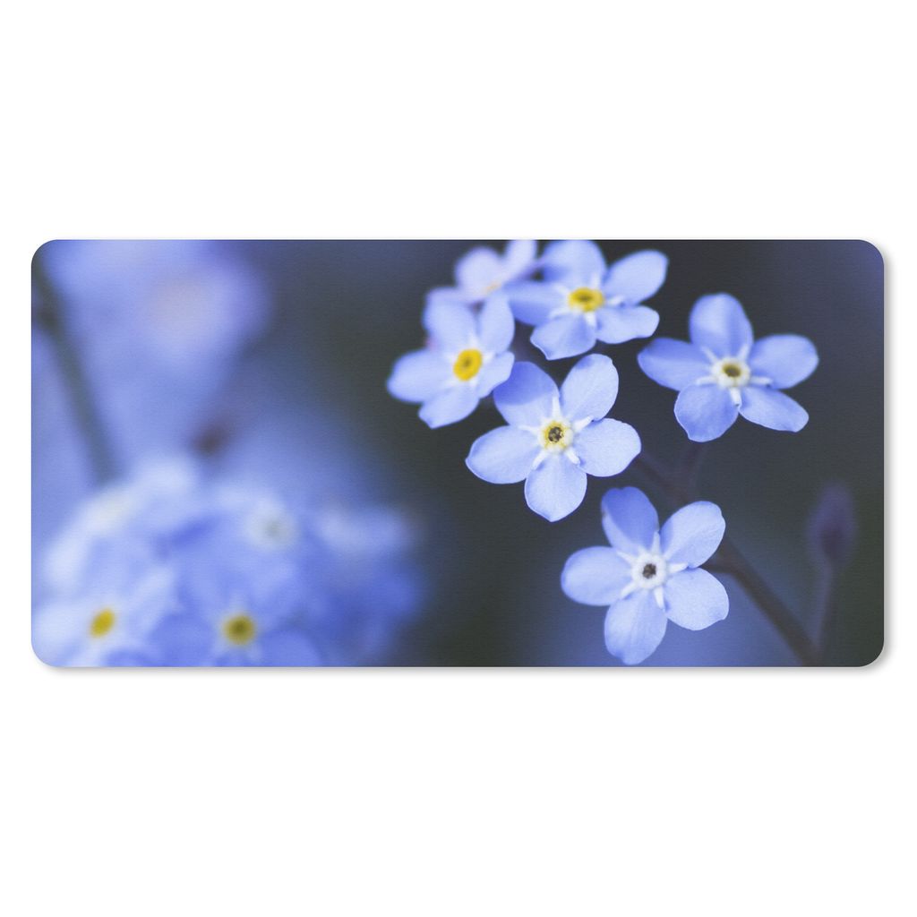 MuchoWow Schreibtischunterlage Nahaufnahme eines Vergissmeinnicht 80x40 cm - XXL Mauspad - Gaming Mauspad