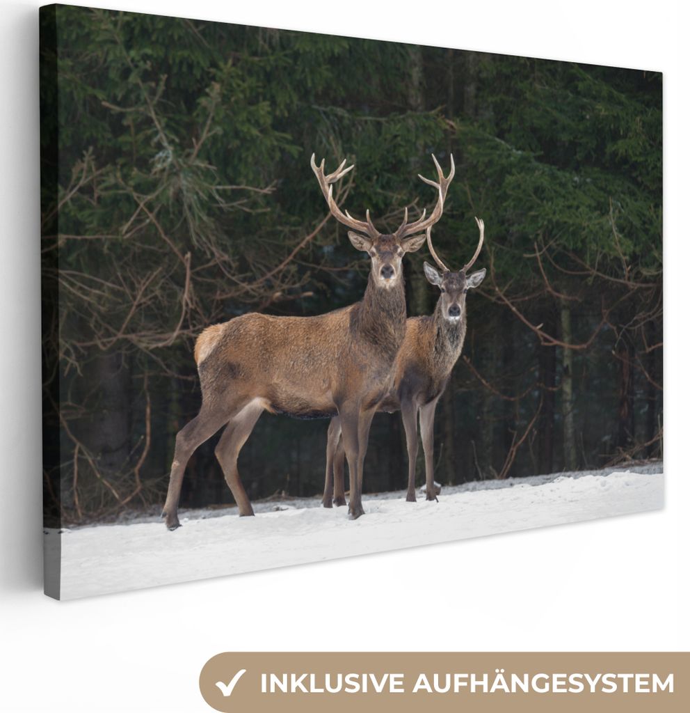 OneMillionCanvasses - Leinwandbilder - 140x90 cm, Rotwild - Schnee - Wald, Wandbilder Kunstdruck Wanddekoration