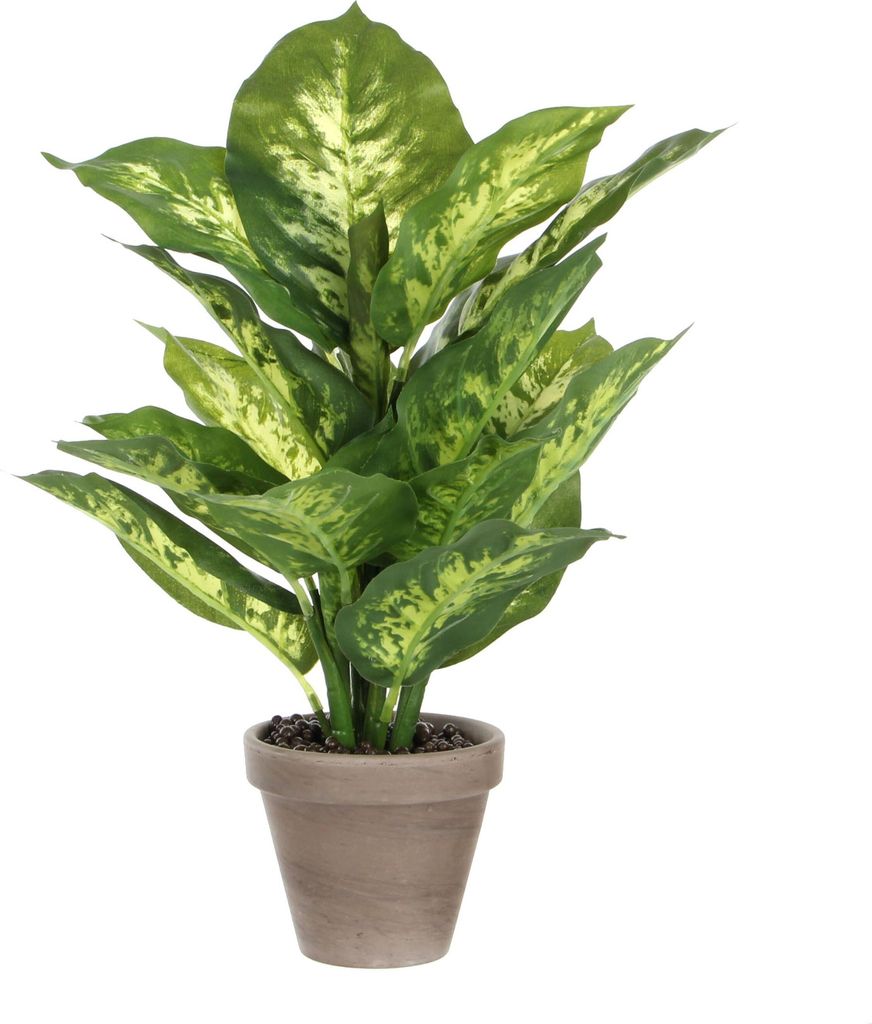 Mica Decorations Dieffenbachia sztuczna roślina w doniczce Zdjęcie produktu 