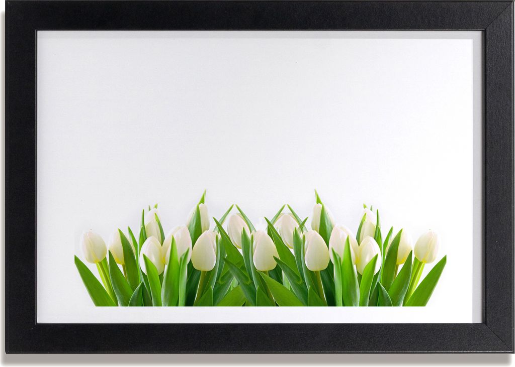 Bild 30x20 MDF-Rahmen, Wandkunst weiße Tulpen