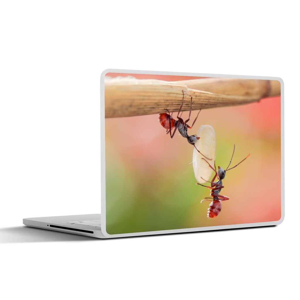 MuchoWow Laptop Aufkleber Sticker Cover Ameisen - Stängel 40x30 cm - Laptop Dekoration - Selbstklebend