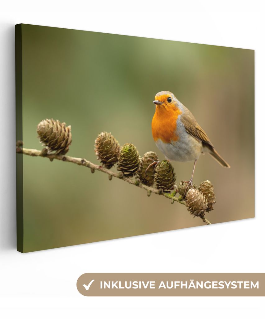MuchoWow - Leinwandbilder - Vogel - Rotkehlchen - Tannenzapfen - Zweig - Herbst, Wandbild, Wanddeko Bilder Wohnzimmer, 30x20 cm