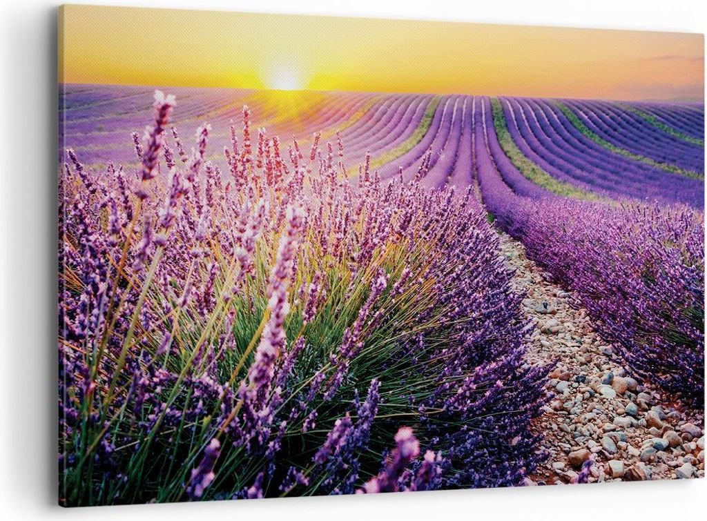 Bild auf Leinwand - Leinwandbild - Einteilig - Feld Lavendel Sonne - 120x80cm - Wand Bild - Wanddeko - Wandbilder - Leinwanddruck - Bilder - Wandde...