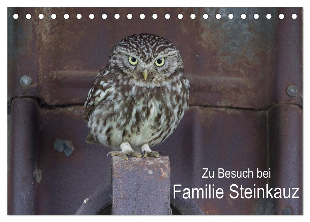 Zu Besuch bei Familie Steinkauz (Tischkalender 2027 DIN A5 quer), CALVENDO Monatskalender