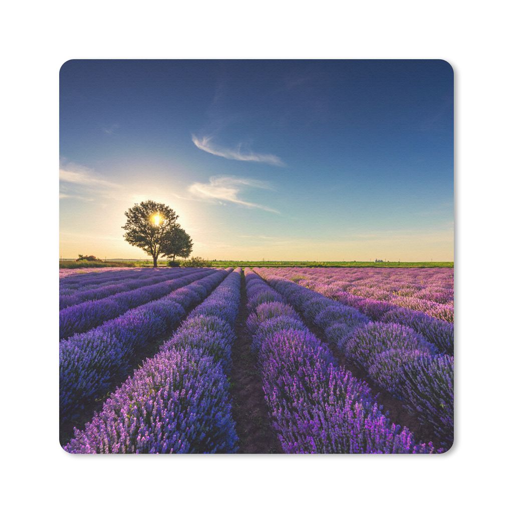 MuchoWow Mauspad Mousepad Lavendel - Sonne - Baum - Blumen - Lila 20x20 cm - Mousepads - Maus Mat - Pad - Mausunterlage - Desk Mat - Bureauartikeln