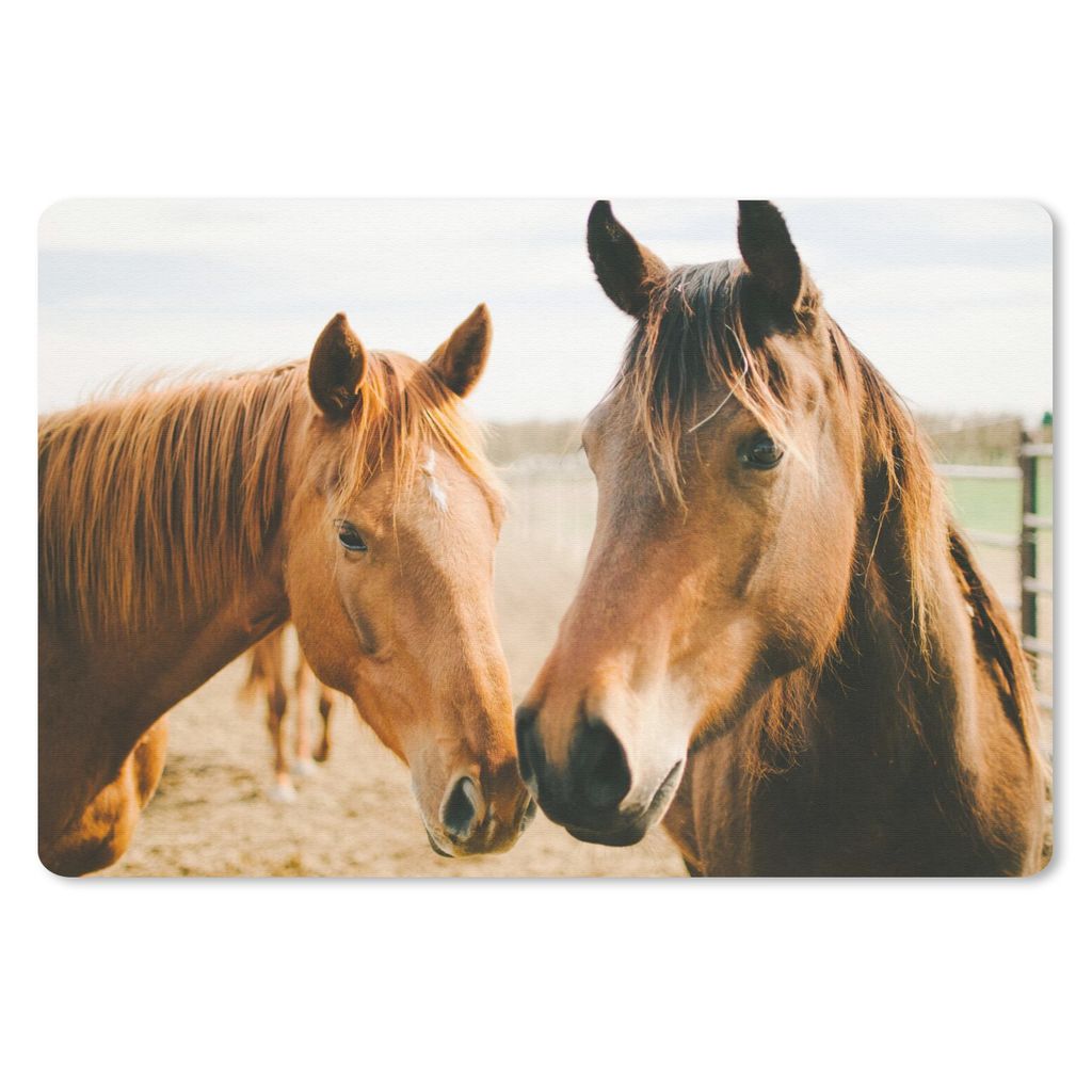 MuchoWow Mauspad Mousepad Pferd - Strand - Tiere 27x18 cm - Mousepads - Maus Mat - Pad - Mausunterlage - Büroartikel - Desk Matten