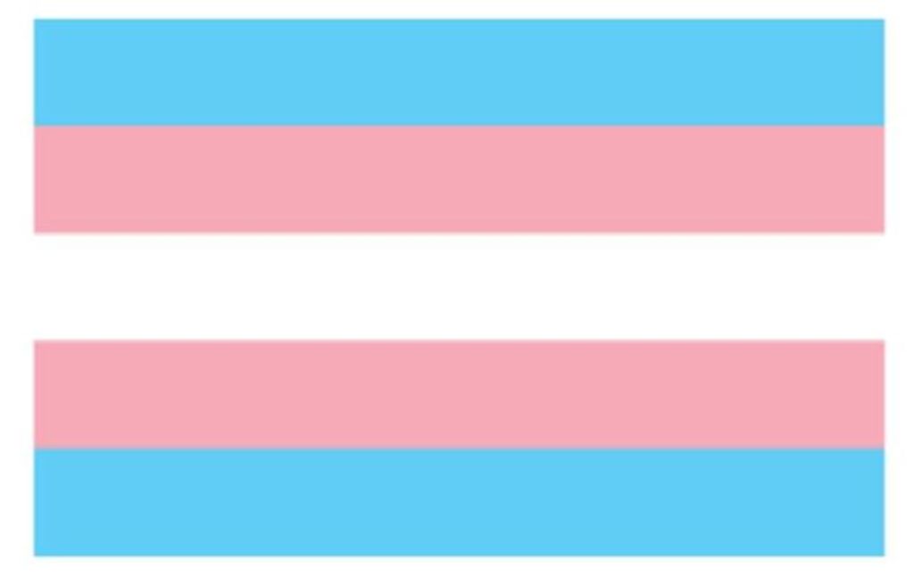 Trans Flag Aufkleber / Sticker 5.0 x 7,6 cm (12er Pack) Produktbild 