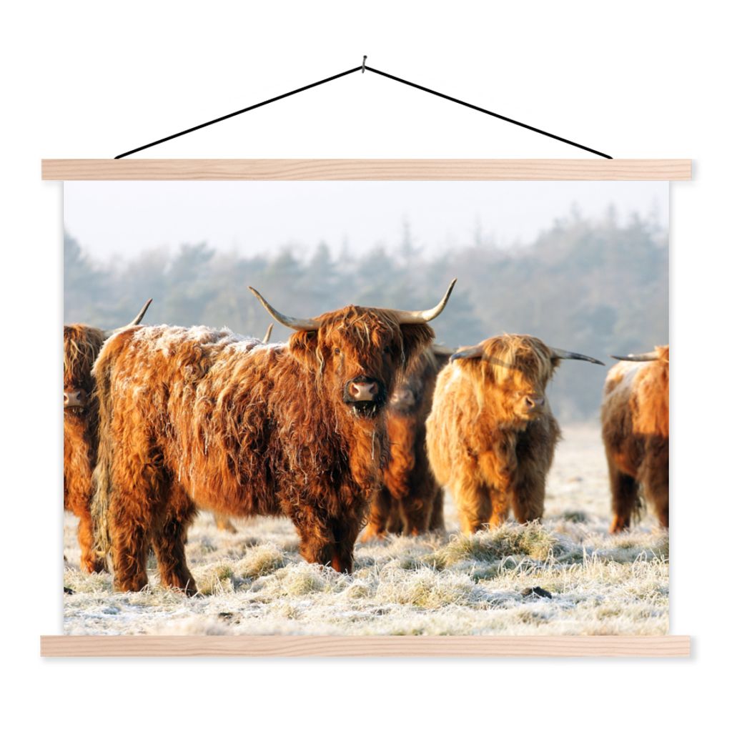 MuchoWow Textilposter Schottische Highlander - Schnee - Wald 60x45 cm mit holzfarbenen Rahmen - Bild