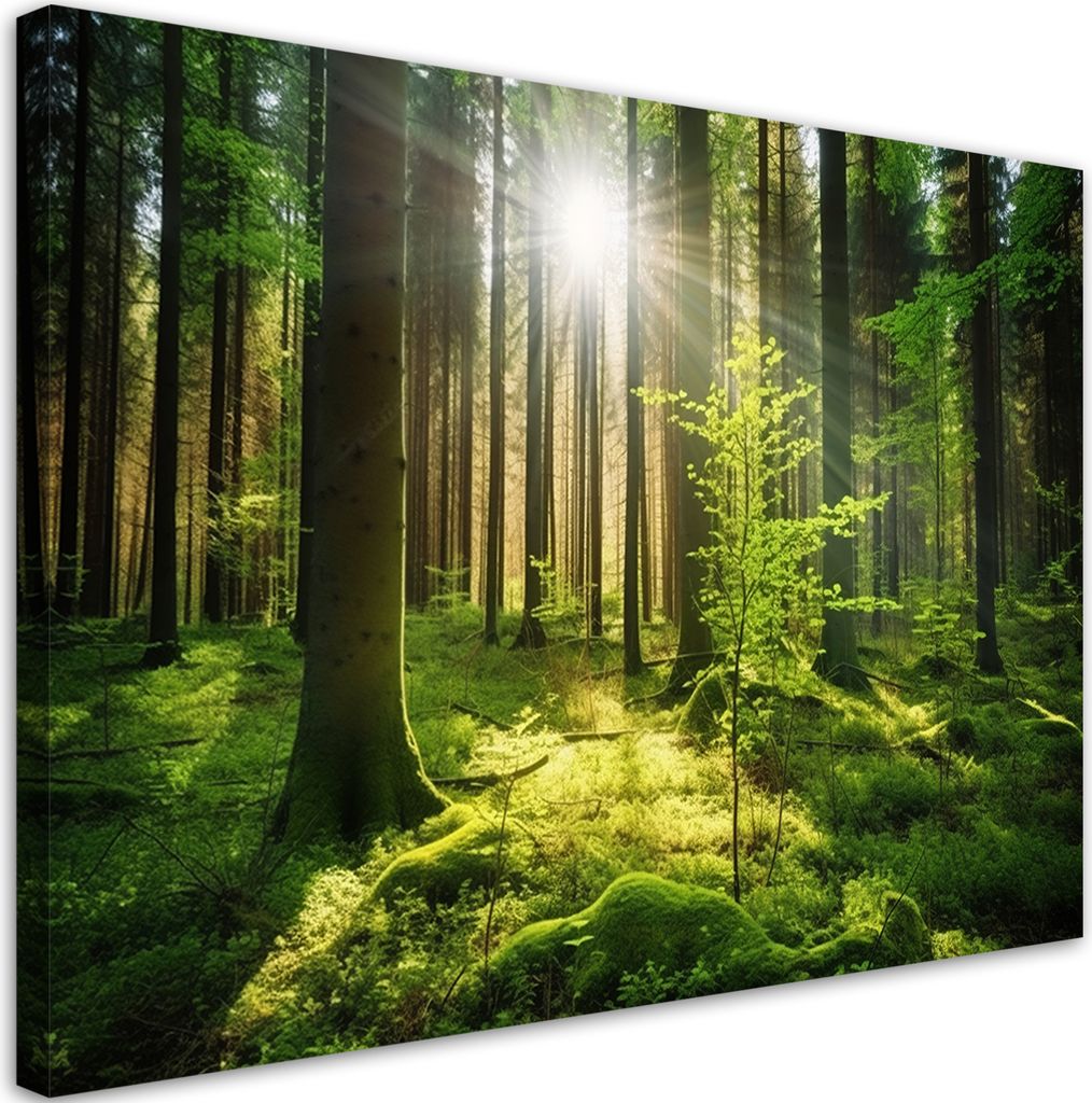 Leinwandbild Waldbäume Natur 120x80 Feeby Grün bild für die wand bereit zum aufhängen