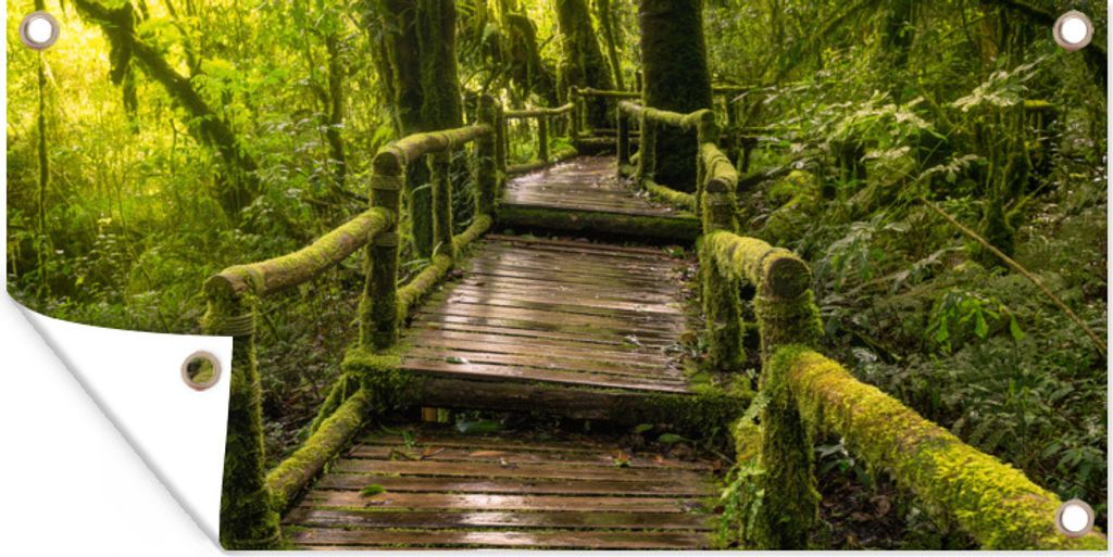 MuchoWow 160x80 cm Outdoor-Poster Gartendeko Sichtschutz Garten Poster für den Garten Schöner Regenwald und Dschungel