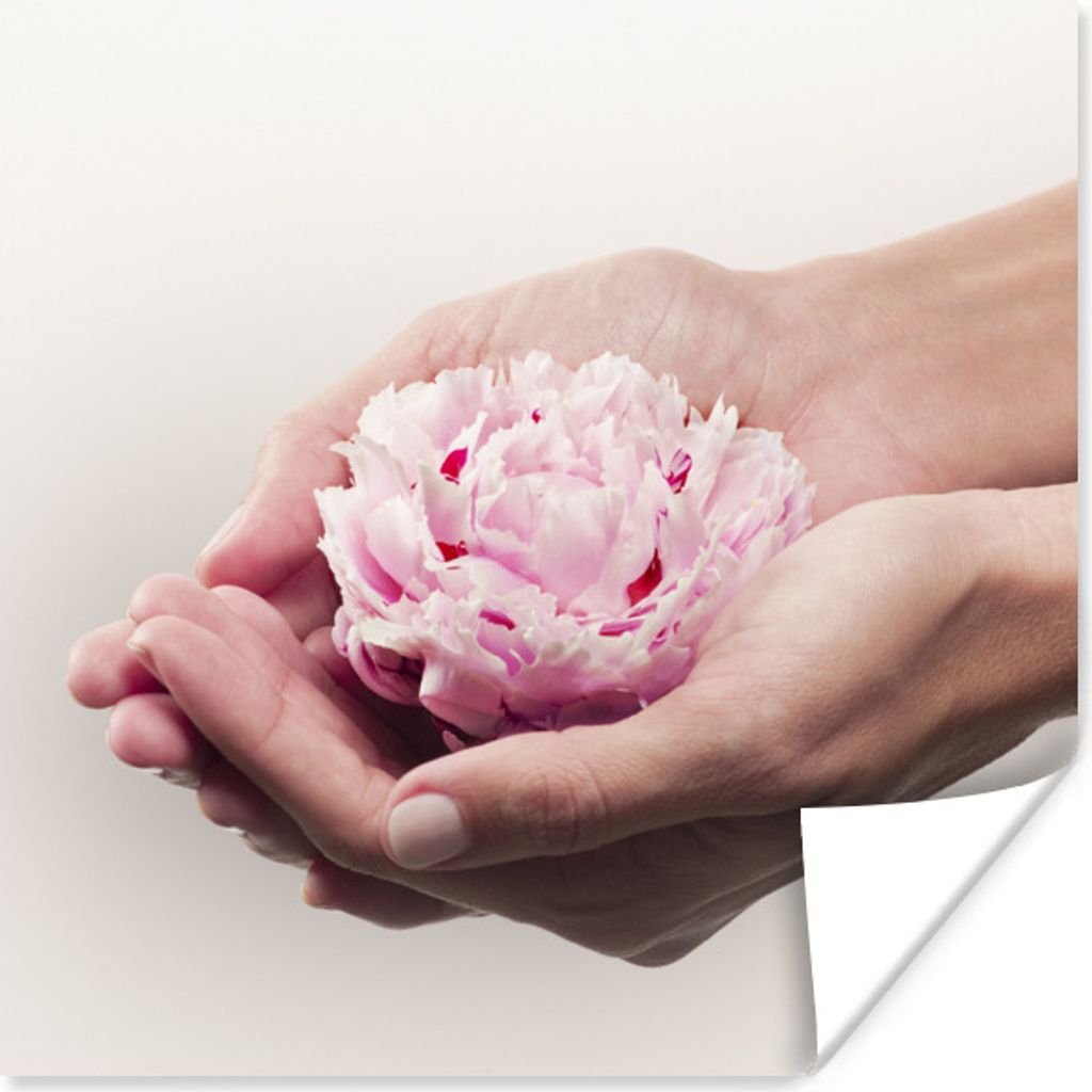 MuchoWow Poster Die Hände halten eine rosa Pfingstrose 75x75 cm - Wand Dekoration