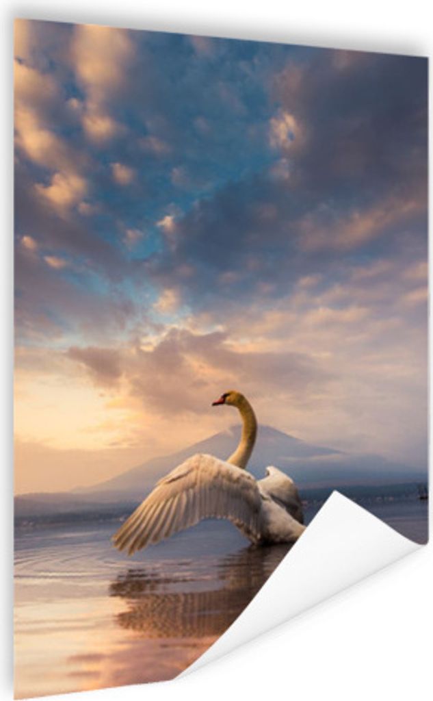MuchoWow Poster Schwan - Wolken - Wasser 40x60 cm - Plakate für die Wand - Poster Babyzimmer