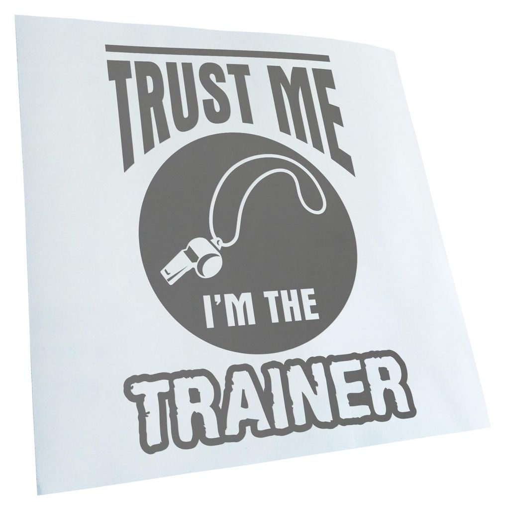 Kiwistar - Autoaufkleber - Trust me im the trainer - Grau - 60x43cm - Aufkleber für Auto, Laptop, Fahrrad, LKW, Motorrad mehrfarbig JDM Decal Racing