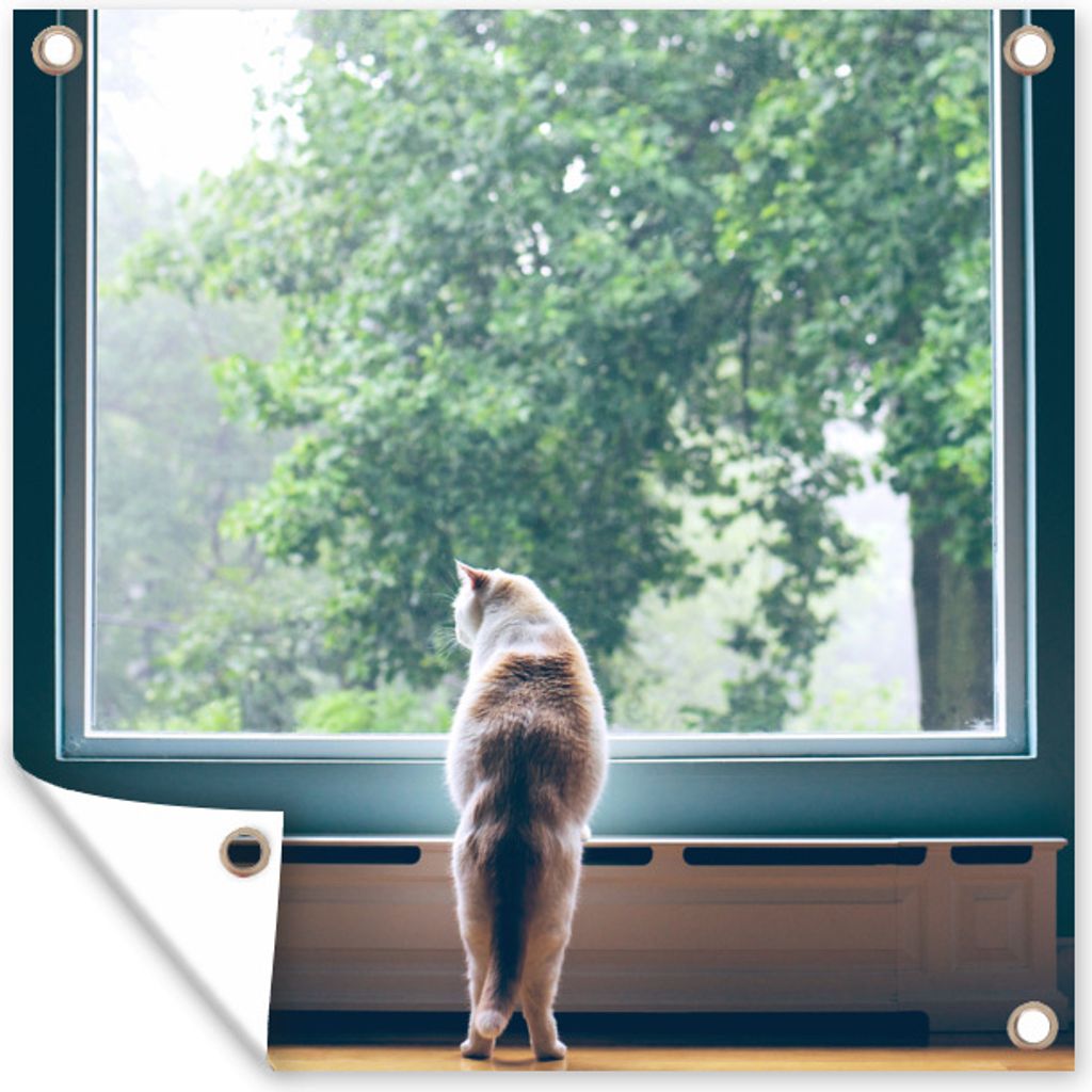 MuchoWow 50x50 cm Outdoor-Poster Gartendeko Sichtschutz Garten Poster für den Garten Katze - Fenster - Pflanzen