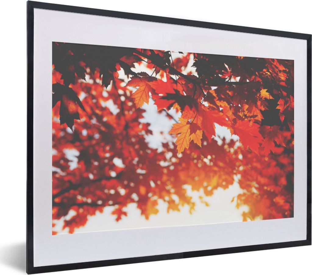 MuchoWow Gerahmtes Poster Herbstliche Blätter - Rustikale Dekoration - Sonne 40x30 cm - Poster mit Schwarzem Bilderrahmen Wandposter Rahmen Foto...