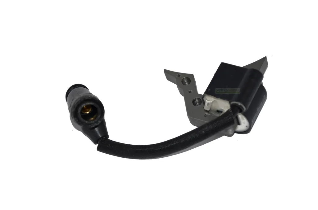 Modulo Accensione Hecht 5410SH 543SWE - Sostituzione Professionale