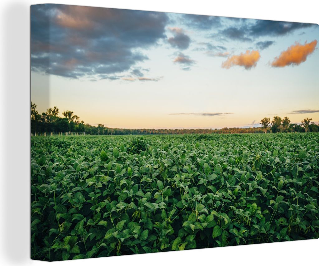 OneMillionCanvasses - Leinwandbilder - 140x90 cm, Getreidefeld mit Sonnenaufgang in Nebraska, Wandbilder Kunstdruck Wanddekoration - Foto auf Lei...