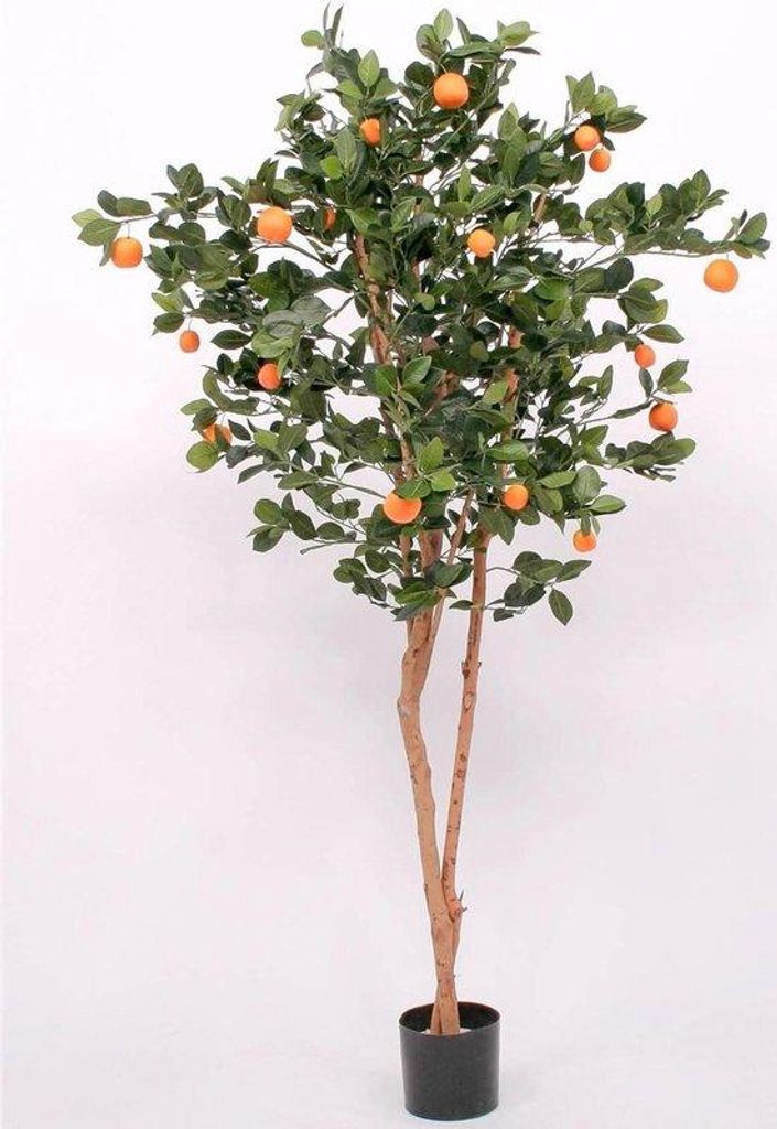 Künstlich gezüchteter Zitronenbaum - Dekorative Zitrusdose - 2 natürliche Holzwachstümer - 180 cm - Grünlich