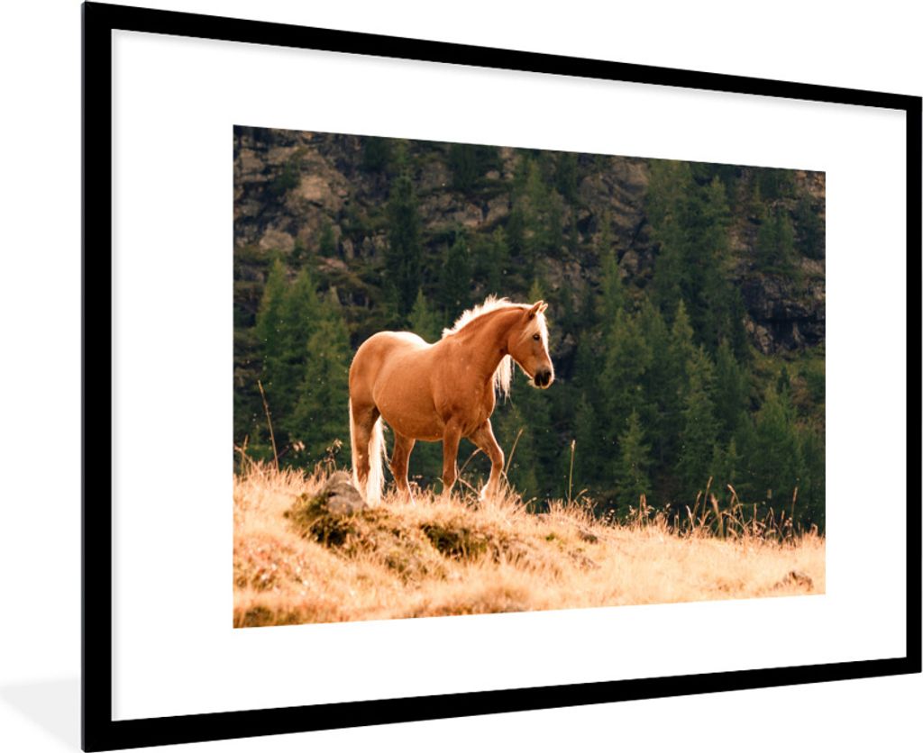 MuchoWow Gerahmtes Poster Haflinger Pferd im gelben Gras 90x60 cm - Poster mit Schwarzem Bilderrahmen Wandposter Rahmen Foto Bilder - Wanddekorat...