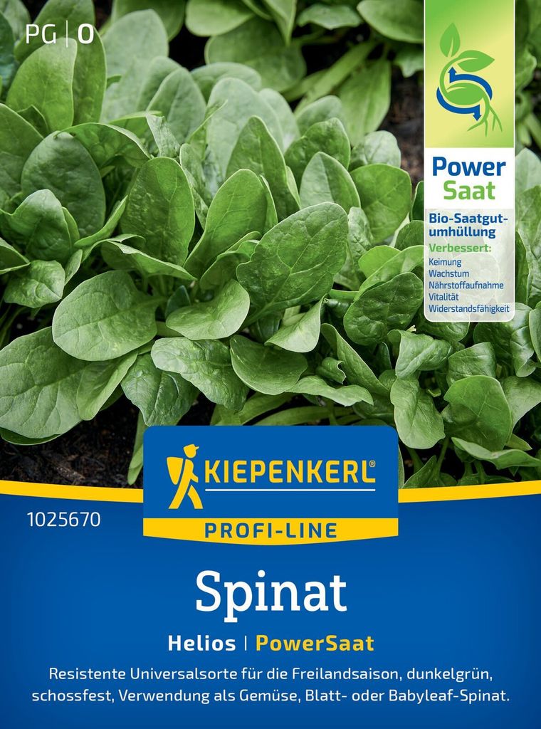 Spinat Helios, F1 Kiepenkerl Gemüsesamen Hybrid-Saatgut