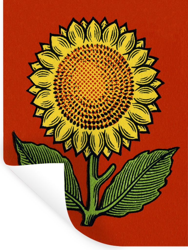 MuchoWow - Sticker - Dekorfolie
