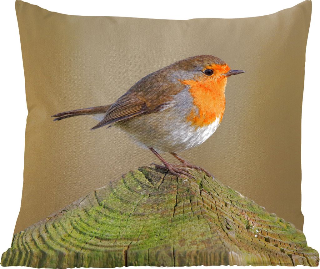 MuchoWow Zierkissen Sofakissen Wohnzimmer Dekokissen 40x40 cm Vogel - Rotkehlchen - Holz - Sofakissenbezüge - ohne füllung