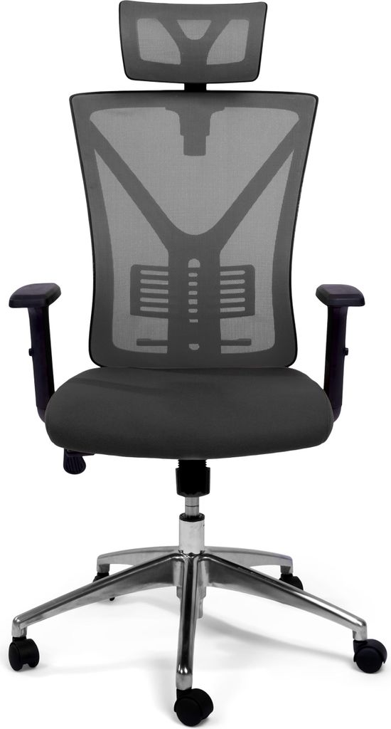 TPFLiving Premium Bürostuhl schwerlast Schreibtischstuhl ergonomischer Chefsessel Drehstuhl mit Mesh Netz belastbar bis 150 kg, Grau