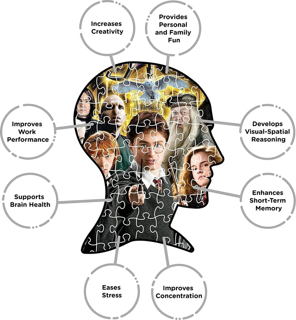 Puzzle Harry Potter 1000 pièces sans reflets - Assemblage Précis et Facile - 7