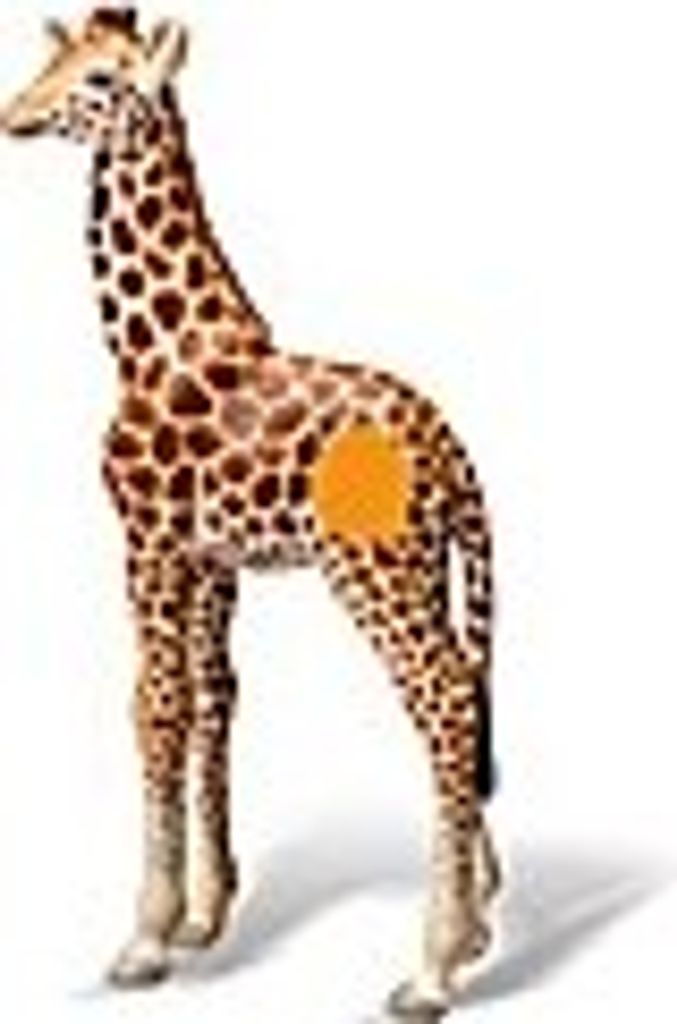 Ravensburger 00359 - Tiptoi Spielfigur: Giraffenjunges Produktbild 